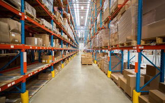 初级会计经济法基础 仓储服务考点解析与零基础考生易错点总结